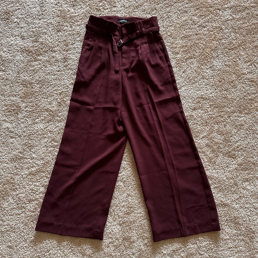Express wide leg pant